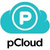 pCloud download icon