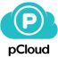 pCloud download icon