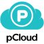 pCloud download icon pCloud download icon